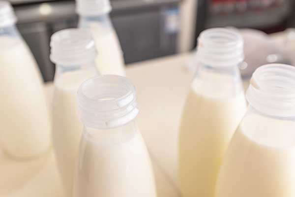 dairy industry
