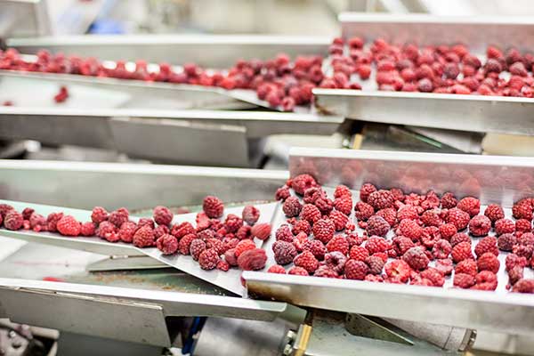 frozen foods industry