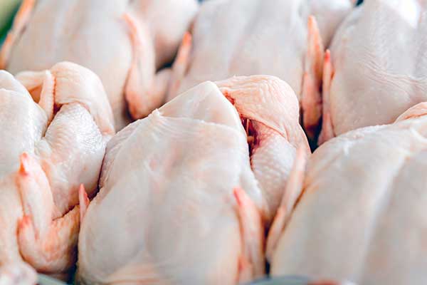 poultry industry